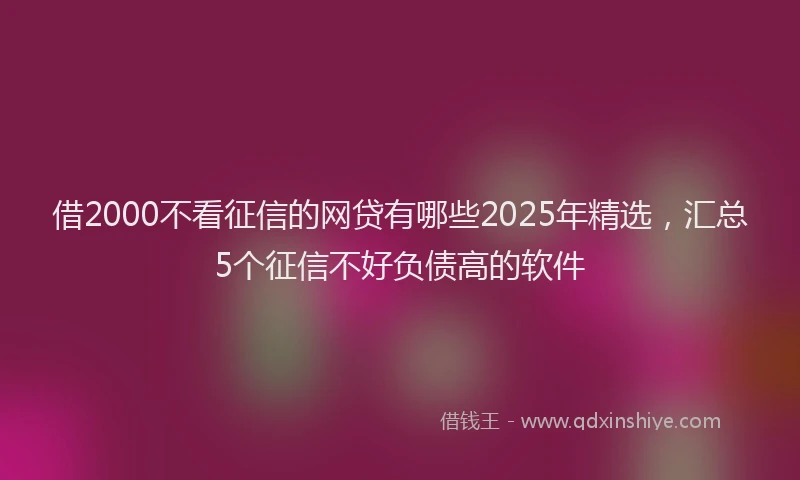 借2000不看征信的网贷有哪些2025年精选，汇总5个征信不好负债高的软件