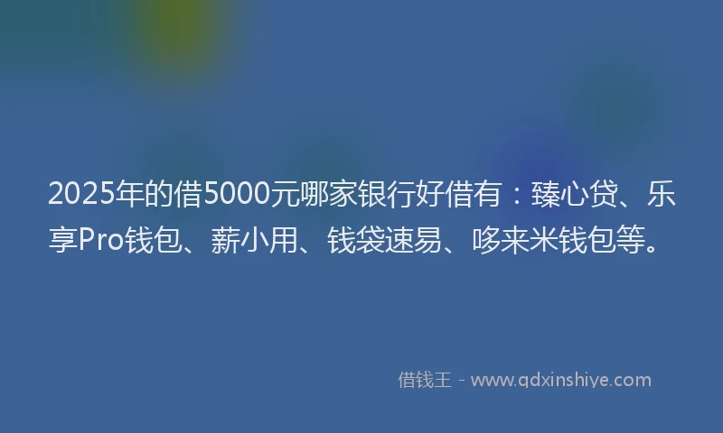 2025年的借5000元哪家银行好借有：臻心贷、乐享Pro钱包、薪小用、钱袋速易、哆来米钱包等。