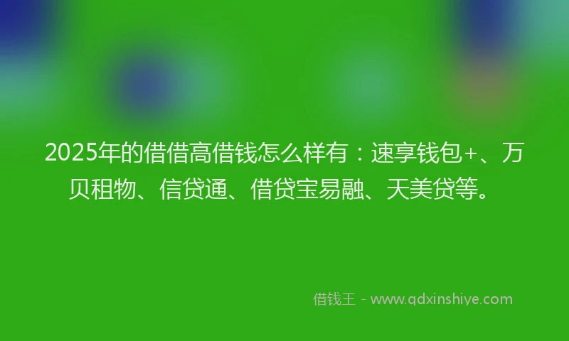 2025年的借借高借钱怎么样有：速享钱包+、万贝租物、信贷通、借贷宝易融、天美贷等。