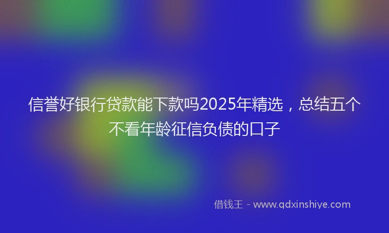信誉好银行贷款能下款吗2025年精选，总结五个不看年龄征信负债的口子