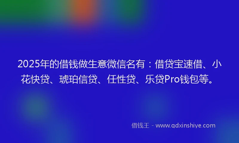 2025年的借钱做生意微信名有：借贷宝速借、小花快贷、琥珀信贷、任性贷、乐贷Pro钱包等。