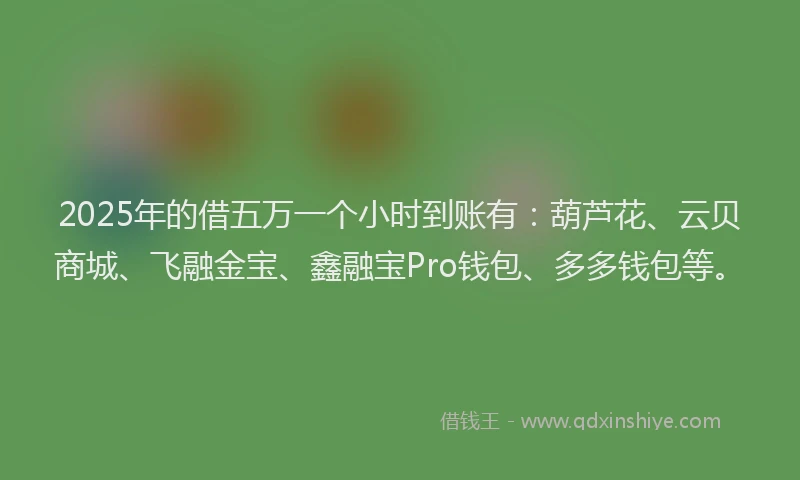 2025年的借五万一个小时到账有：葫芦花、云贝商城、飞融金宝、鑫融宝Pro钱包、多多钱包等。