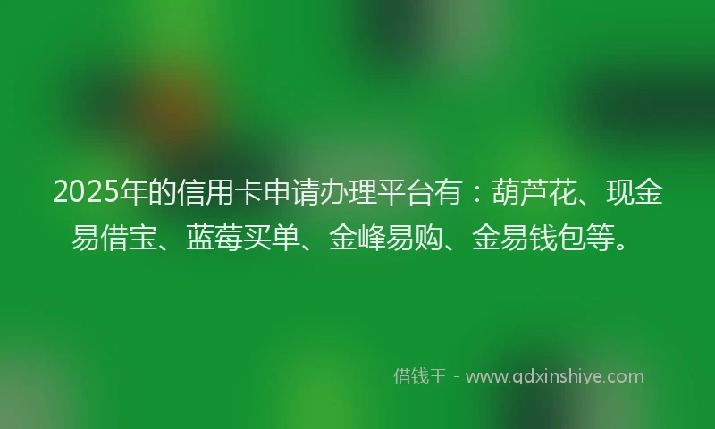 2025年的信用卡申请办理平台有：葫芦花、现金易借宝、蓝莓买单、金峰易购、金易钱包等。