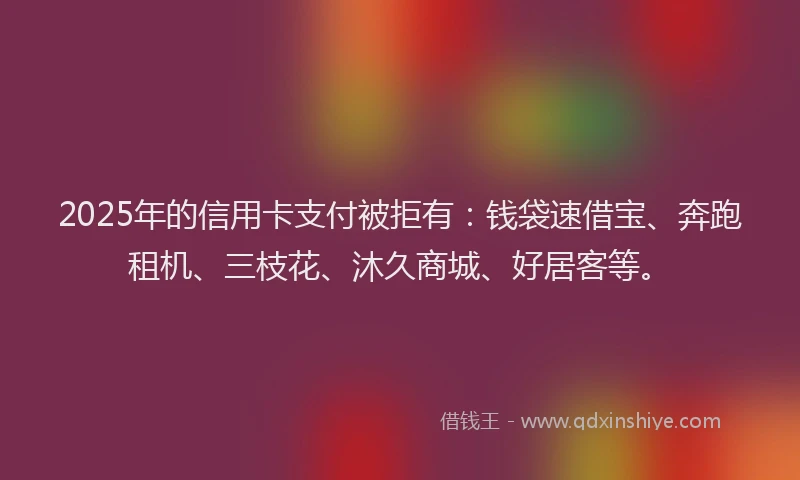 2025年的信用卡支付被拒有：钱袋速借宝、奔跑租机、三枝花、沐久商城、好居客等。
