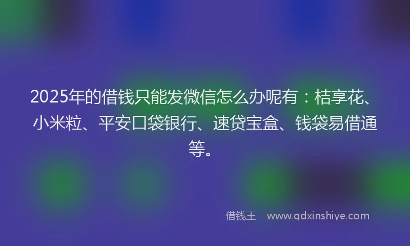 2025年的借钱只能发微信怎么办呢有：桔享花、小米粒、平安口袋银行、速贷宝盒、钱袋易借通等。