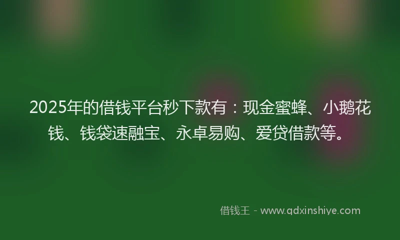 2025年的借钱平台秒下款有：现金蜜蜂、小鹅花钱、钱袋速融宝、永卓易购、爱贷借款等。
