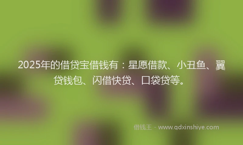 2025年的借贷宝借钱有:星愿借款、小丑鱼、翼贷钱包、闪借快贷、口袋贷等。