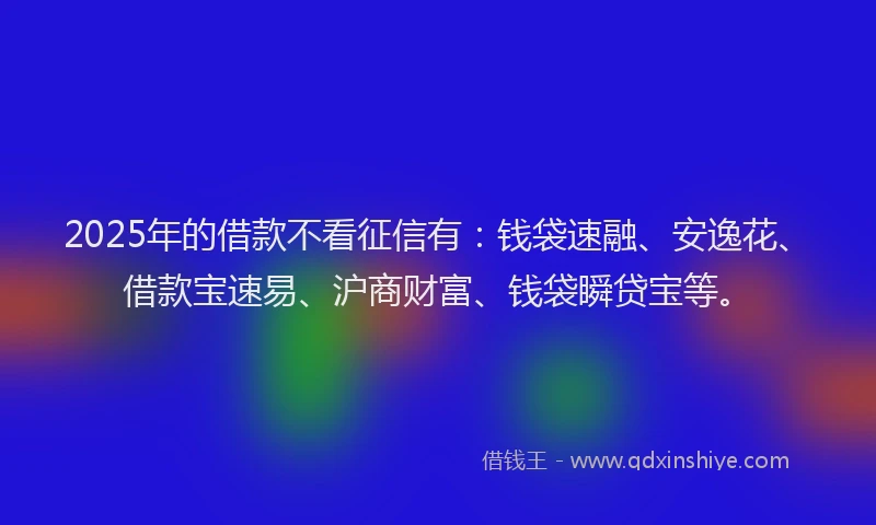 2025年的借款不看征信有：钱袋速融、安逸花、借款宝速易、沪商财富、钱袋瞬贷宝等。