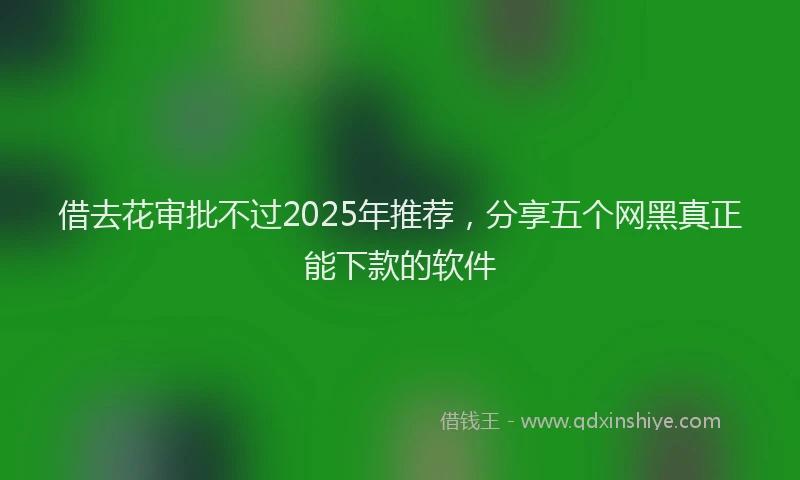 借去花审批不过2025年推荐，分享五个网黑真正能下款的软件
