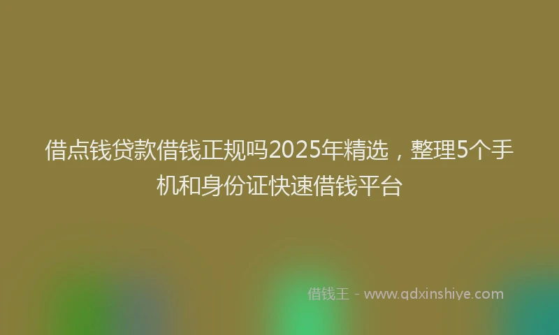 借点钱贷款借钱正规吗2025年精选，整理5个手机和身份证快速借钱平台