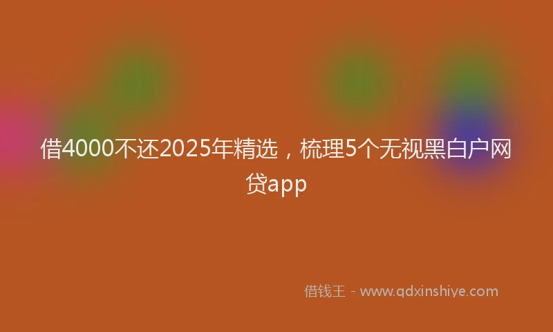借4000不还2025年精选，梳理5个无视黑白户网贷app