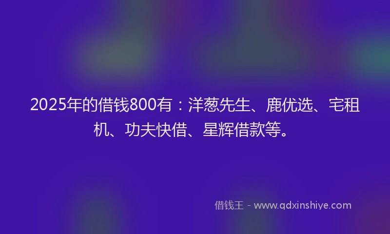 2025年的借钱800有：洋葱先生、鹿优选、宅租机、功夫快借、星辉借款等。