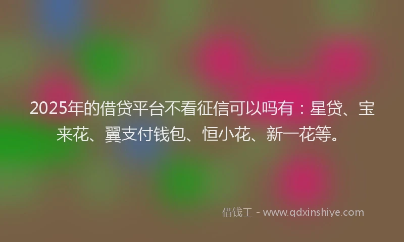 2025年的借贷平台不看征信可以吗有：星贷、宝来花、翼支付钱包、恒小花、新一花等。