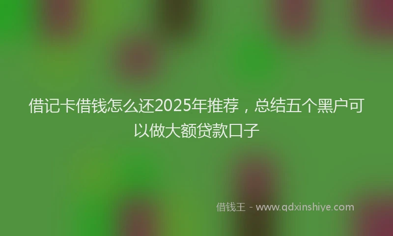 借记卡借钱怎么还2025年推荐，总结五个黑户可以做大额贷款口子