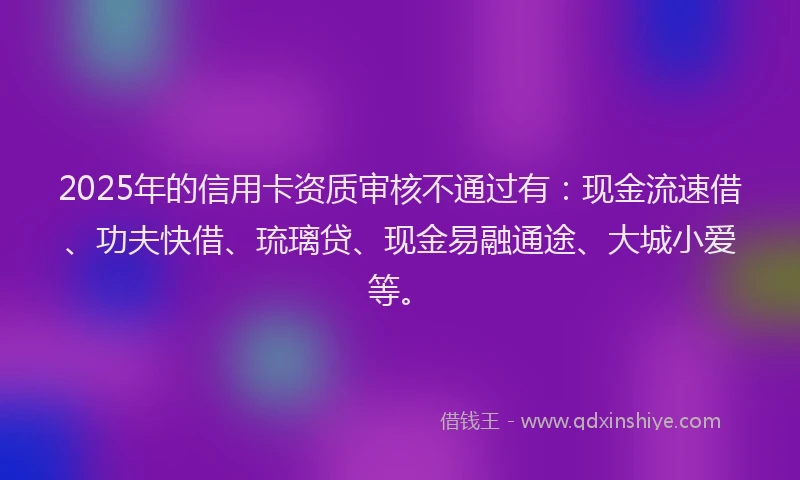 2025年的信用卡资质审核不通过有：现金流速借、功夫快借、琉璃贷、现金易融通途、大城小爱等。