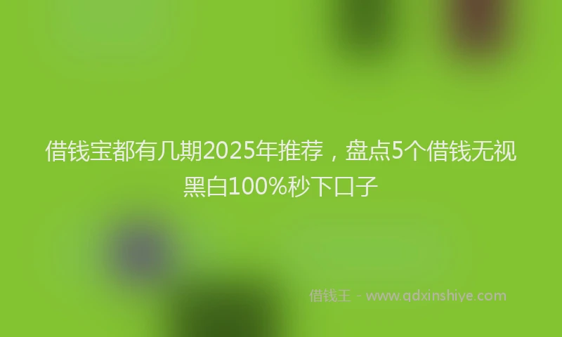 借钱宝都有几期2025年推荐，盘点5个借钱无视黑白100%秒下口子