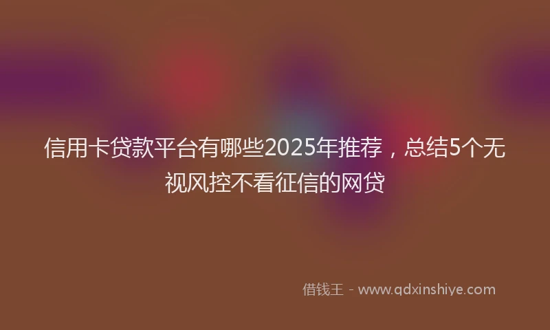 信用卡贷款平台有哪些2025年推荐，总结5个无视风控不看征信的网贷