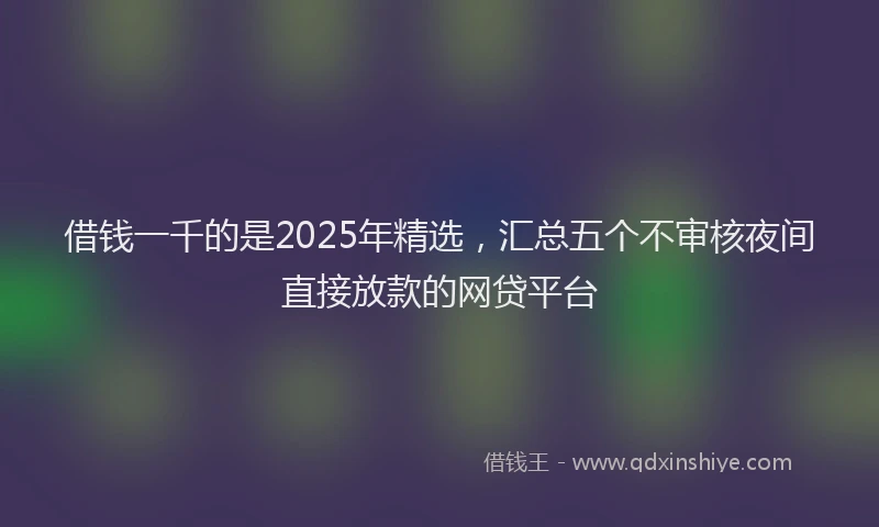 借钱一千的是2025年精选，汇总五个不审核夜间直接放款的网贷平台