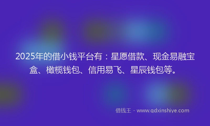 2025年的借小钱平台有：星愿借款、现金易融宝盒、橄榄钱包、信用易飞、星辰钱包等。