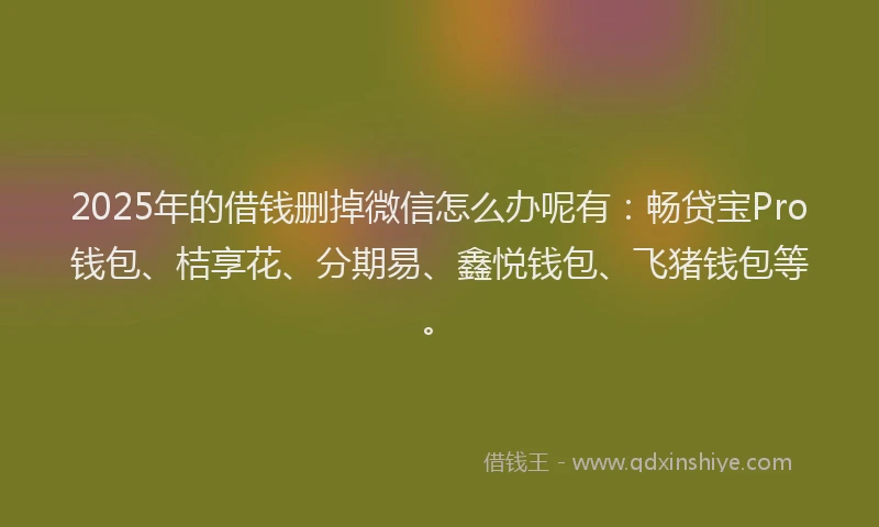 2025年的借钱删掉微信怎么办呢有：畅贷宝Pro钱包、桔享花、分期易、鑫悦钱包、飞猪钱包等。