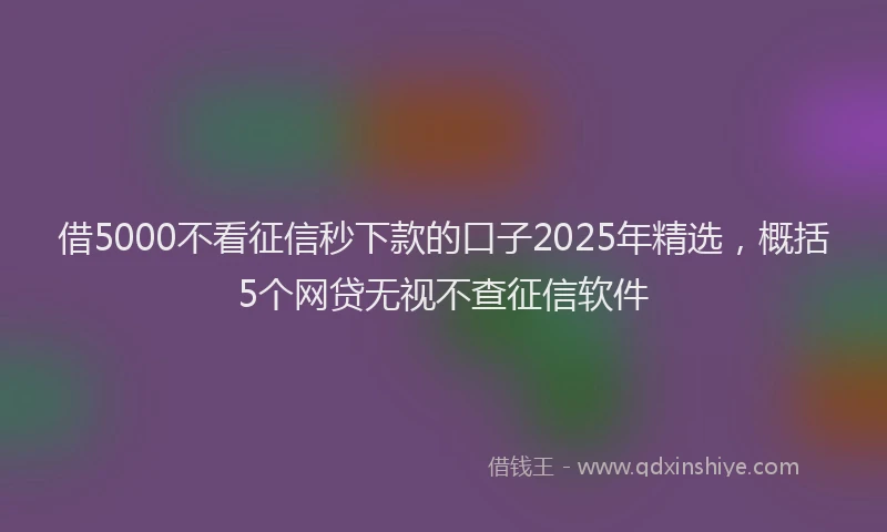 借5000不看征信秒下款的口子2025年精选，概括5个网贷无视不查征信软件