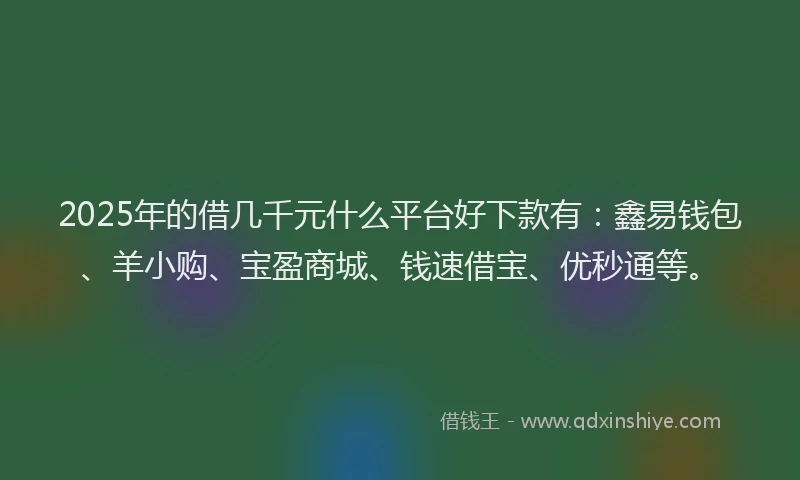 2025年的借几千元什么平台好下款有：鑫易钱包、羊小购、宝盈商城、钱速借宝、优秒通等。