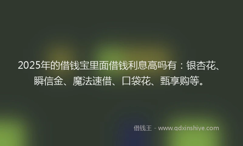2025年的借钱宝里面借钱利息高吗有：银杏花、瞬信金、魔法速借、口袋花、甄享购等。