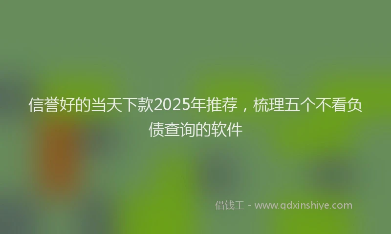 信誉好的当天下款2025年推荐，梳理五个不看负债查询的软件
