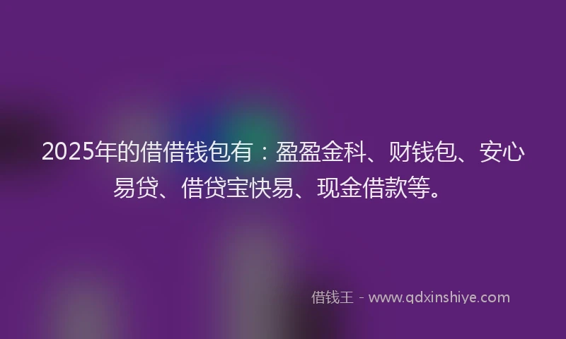 2025年的借借钱包有：盈盈金科、财钱包、安心易贷、借贷宝快易、现金借款等。