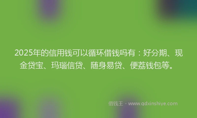 2025年的信用钱可以循环借钱吗有：好分期、现金贷宝、玛瑙信贷、随身易贷、便荔钱包等。