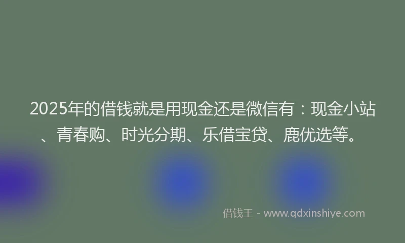 2025年的借钱就是用现金还是微信有：现金小站、青春购、时光分期、乐借宝贷、鹿优选等。