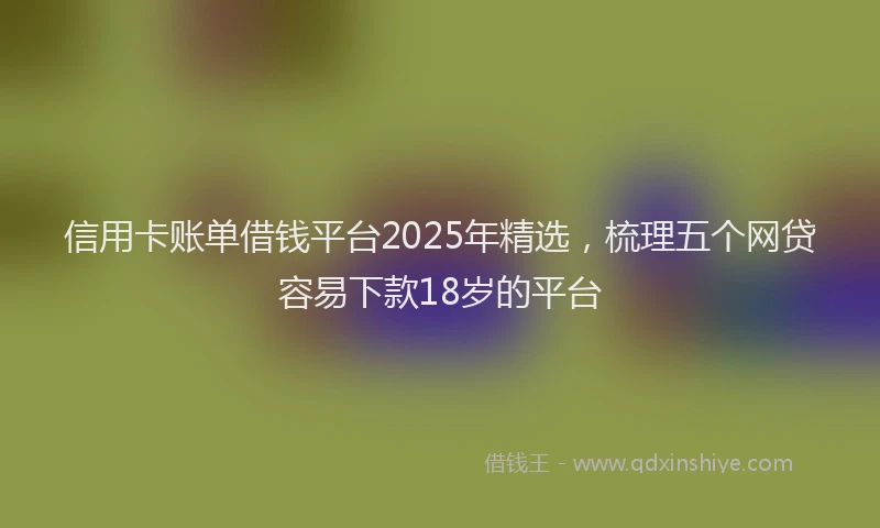 信用卡账单借钱平台2025年精选，梳理五个网贷容易下款18岁的平台
