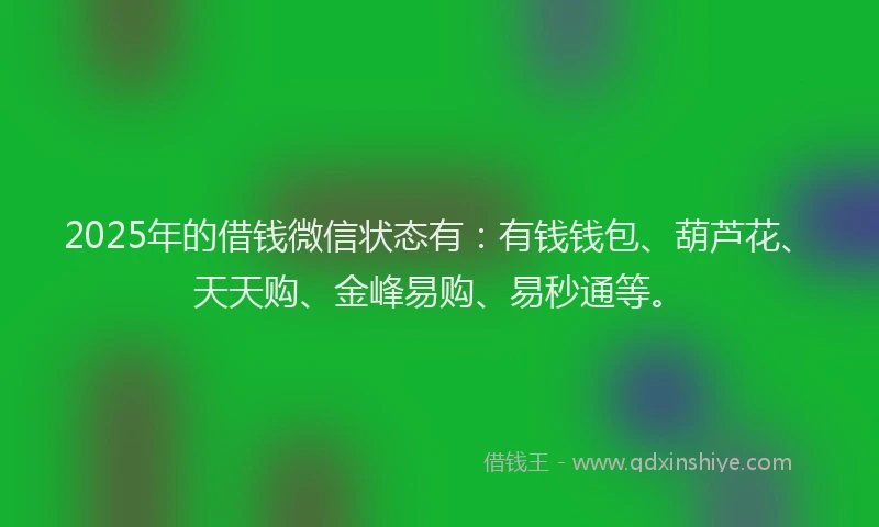 2025年的借钱微信状态有：有钱钱包、葫芦花、天天购、金峰易购、易秒通等。