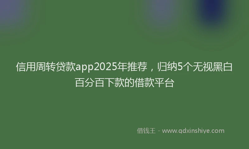信用周转贷款app2025年推荐，归纳5个无视黑白百分百下款的借款平台