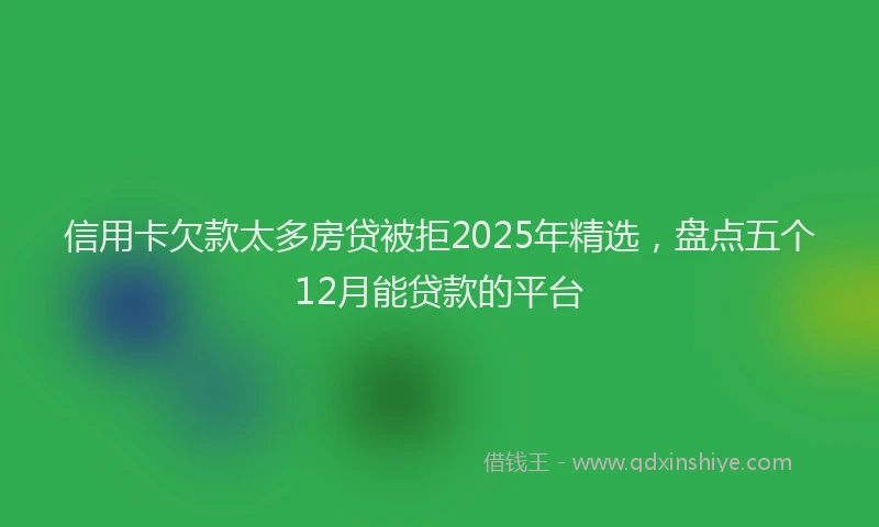 信用卡欠款太多房贷被拒2025年精选，盘点五个12月能贷款的平台