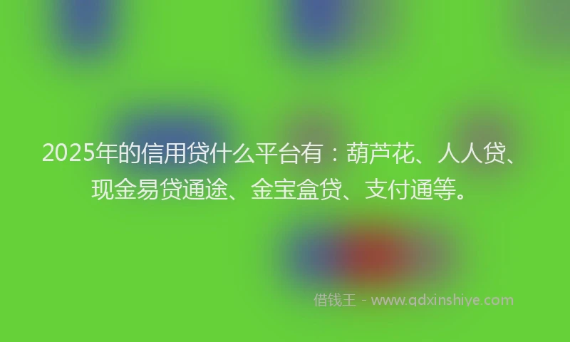 2025年的信用贷什么平台有：葫芦花、人人贷、现金易贷通途、金宝盒贷、支付通等。