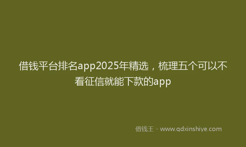 借钱平台排名app2025年精选，梳理五个可以不看征信就能下款的app