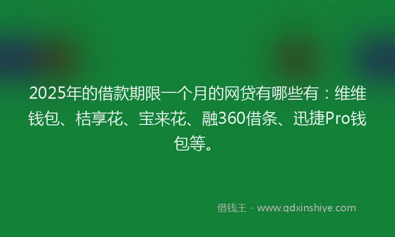 2025年的借款期限一个月的网贷有哪些有：维维钱包、桔享花、宝来花、融360借条、迅捷Pro钱包等。