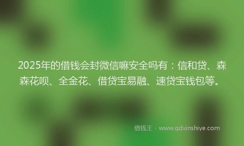 2025年的借钱会封微信嘛安全吗有：信和贷、森森花呗、全金花、借贷宝易融、速贷宝钱包等。