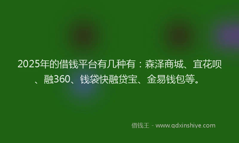 2025年的借钱平台有几种有：森泽商城、宜花呗、融360、钱袋快融贷宝、金易钱包等。