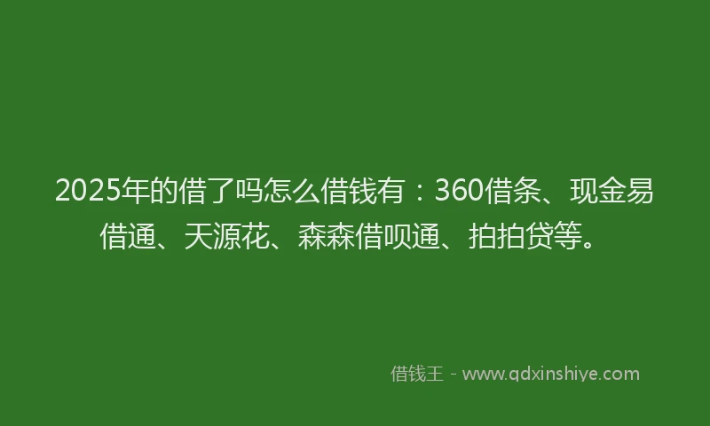 2025年的借了吗怎么借钱有：360借条、现金易借通、天源花、森森借呗通、拍拍贷等。