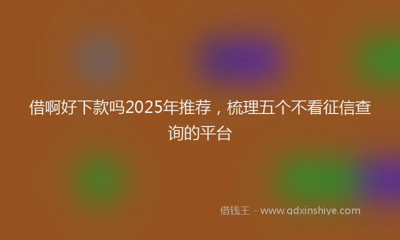 借啊好下款吗2025年推荐，梳理五个不看征信查询的平台