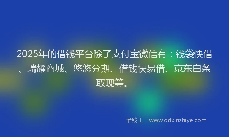2025年的借钱平台除了支付宝微信有：钱袋快借、瑞耀商城、悠悠分期、借钱快易借、京东白条取现等。