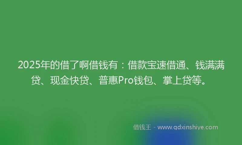2025年的借了啊借钱有：借款宝速借通、钱满满贷、现金快贷、普惠Pro钱包、掌上贷等。