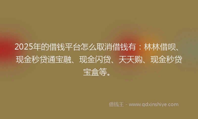 2025年的借钱平台怎么取消借钱有：林林借呗、现金秒贷通宝融、现金闪贷、天天购、现金秒贷宝盒等。