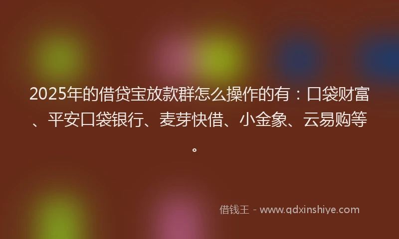 2025年的借贷宝放款群怎么操作的有：口袋财富、平安口袋银行、麦芽快借、小金象、云易购等。