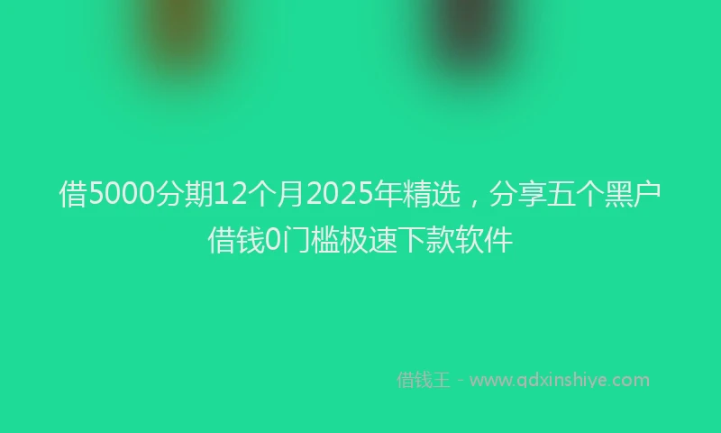 借5000分期12个月2025年精选，分享五个黑户借钱0门槛极速下款软件