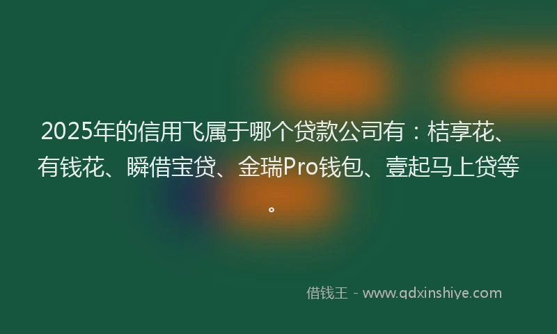 2025年的信用飞属于哪个贷款公司有：桔享花、有钱花、瞬借宝贷、金瑞Pro钱包、壹起马上贷等。
