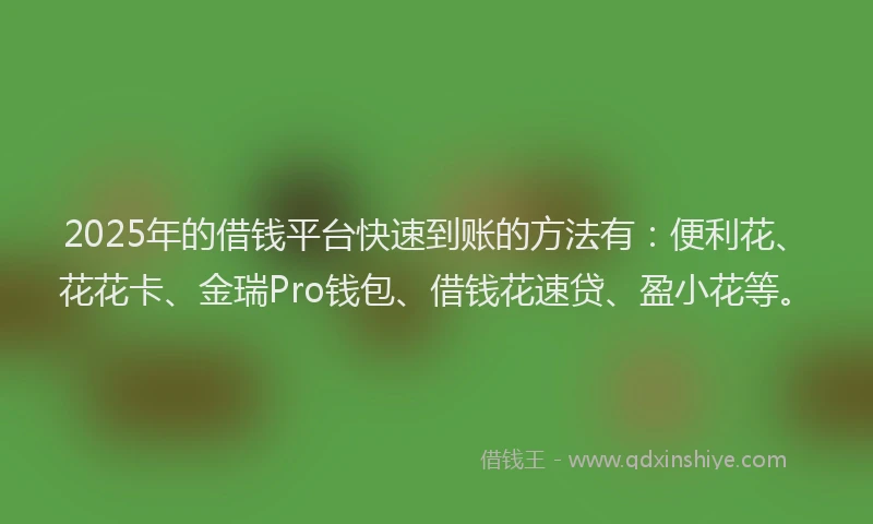 2025年的借钱平台快速到账的方法有：便利花、花花卡、金瑞Pro钱包、借钱花速贷、盈小花等。
