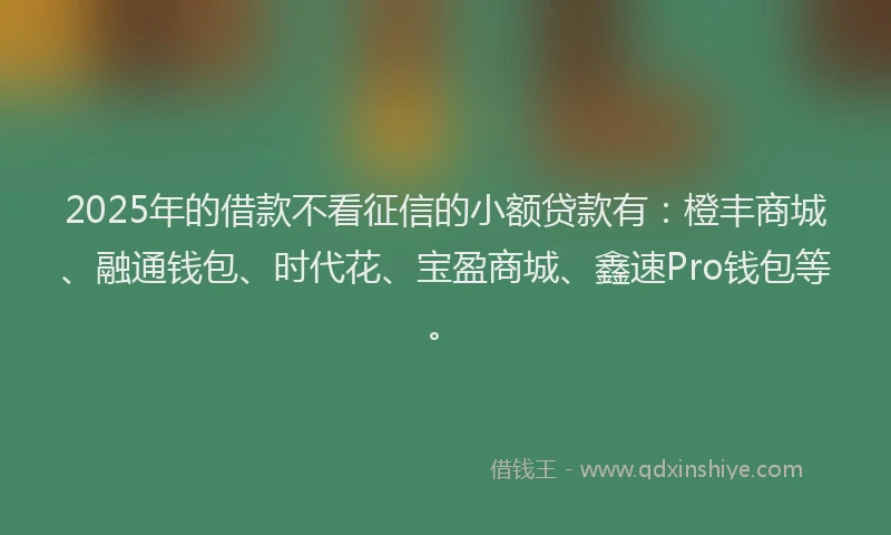 2025年的借款不看征信的小额贷款有：橙丰商城、融通钱包、时代花、宝盈商城、鑫速Pro钱包等。